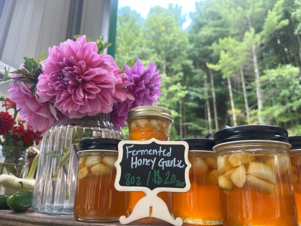 fermented honey garlic 2