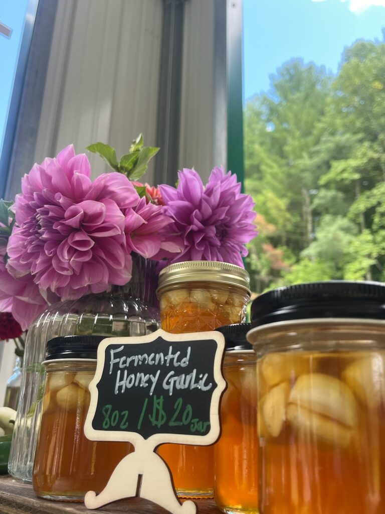 fermented honey garlic 3