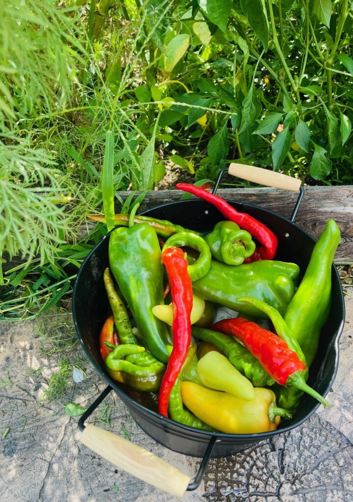 peppers